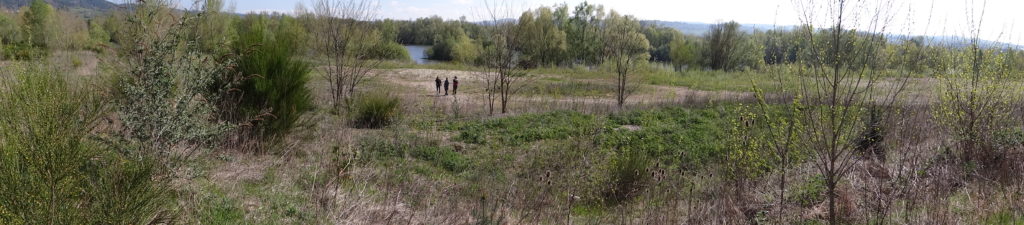 panorama-carriere-1024x225